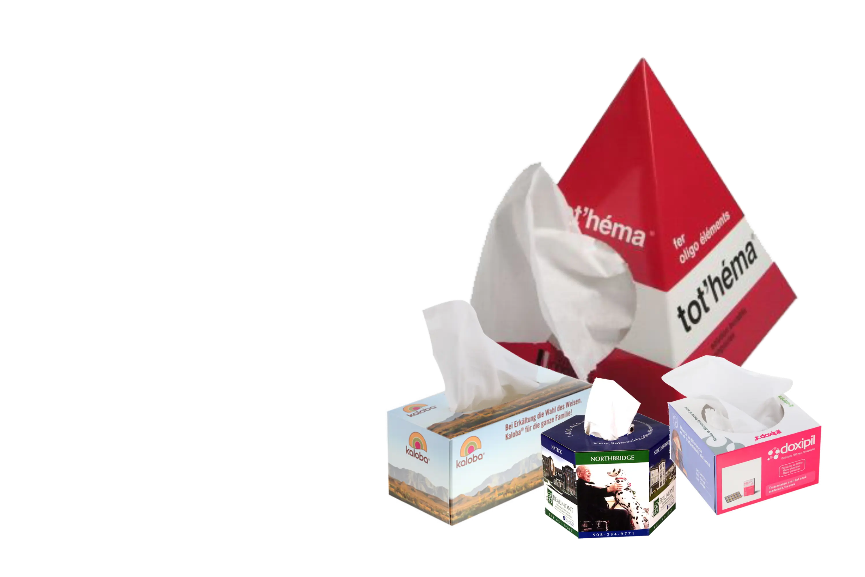 Product Showcase Image